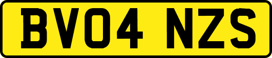 BV04NZS