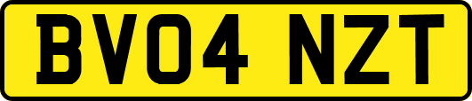 BV04NZT