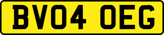 BV04OEG