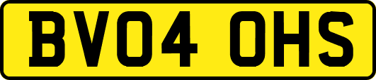 BV04OHS