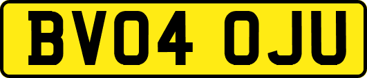 BV04OJU