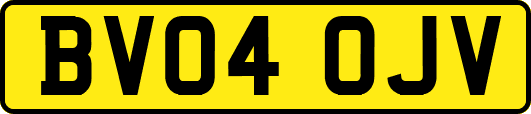 BV04OJV