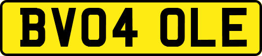 BV04OLE