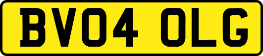 BV04OLG