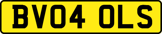 BV04OLS