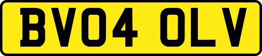 BV04OLV