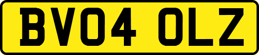 BV04OLZ