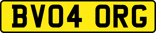 BV04ORG