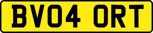 BV04ORT