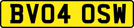 BV04OSW