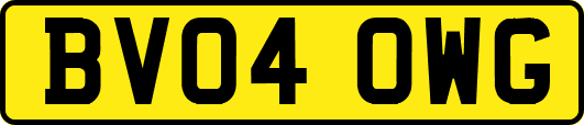 BV04OWG