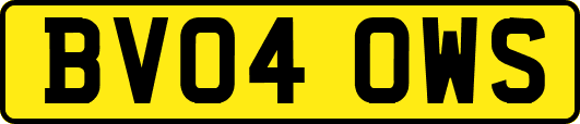 BV04OWS
