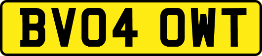 BV04OWT