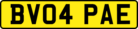 BV04PAE