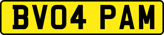 BV04PAM