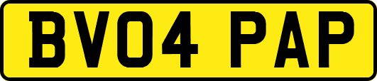 BV04PAP