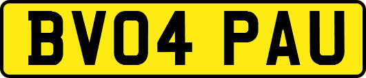 BV04PAU