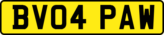 BV04PAW