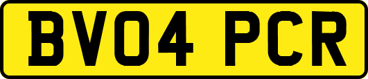 BV04PCR