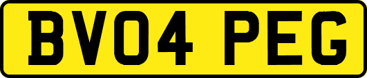 BV04PEG