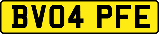 BV04PFE