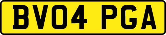 BV04PGA