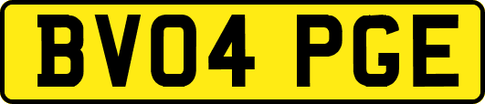 BV04PGE
