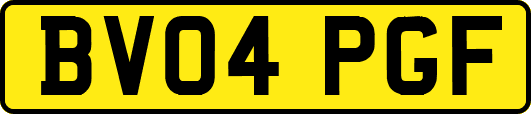 BV04PGF