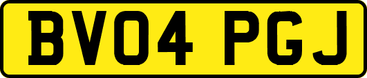 BV04PGJ