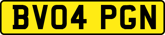 BV04PGN