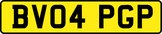 BV04PGP