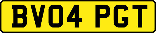 BV04PGT