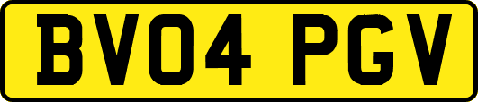 BV04PGV
