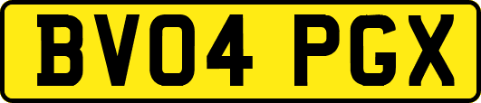 BV04PGX