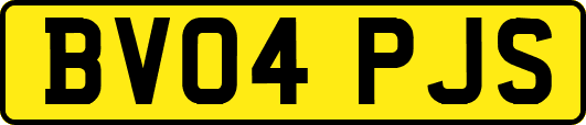 BV04PJS