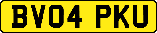 BV04PKU
