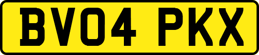 BV04PKX