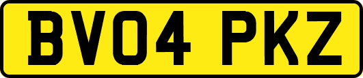 BV04PKZ