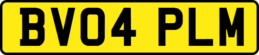BV04PLM