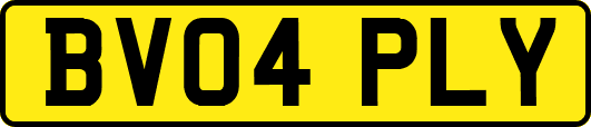 BV04PLY