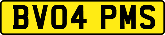 BV04PMS