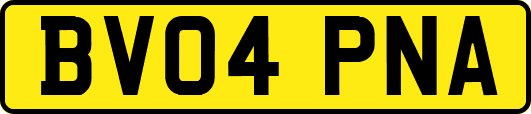 BV04PNA