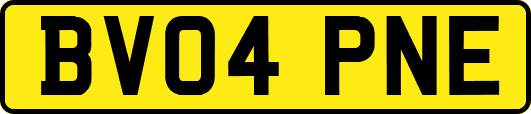 BV04PNE