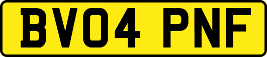 BV04PNF