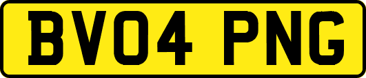BV04PNG