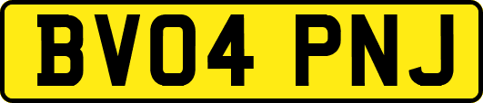 BV04PNJ