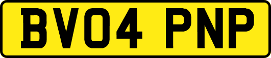 BV04PNP