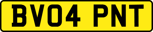 BV04PNT