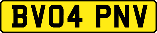 BV04PNV