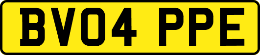 BV04PPE